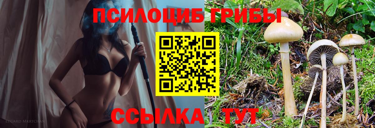 Саранск  Псилоцибиновые грибы MAGIC MUSHROOMS  Вход с VPN 